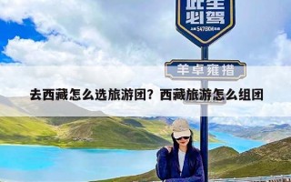 去西藏怎么选旅游团？西藏旅游怎么组团