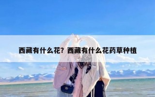 西藏有什么花？西藏有什么花药草种植