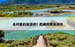 去阿里的旅游团？西藏阿里旅游团