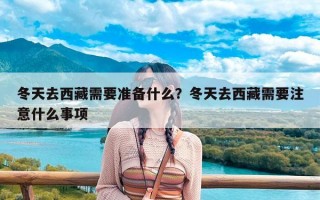 冬天去西藏需要准备什么？冬天去西藏需要注意什么事项