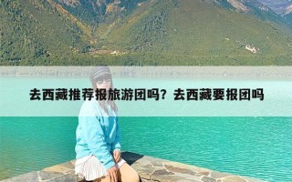 去西藏推荐报旅游团吗？去西藏要报团吗