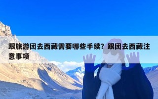 跟旅游团去西藏需要哪些手续？跟团去西藏注意事项