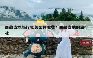 西藏当地旅行社怎么样收费？西藏当地的旅行社