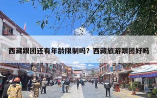 西藏跟团还有年龄限制吗？西藏旅游跟团好吗