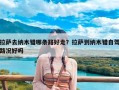 拉萨去纳木错哪条路好走？拉萨到纳木错自驾路况好吗