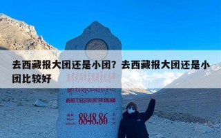 去西藏报大团还是小团？去西藏报大团还是小团比较好