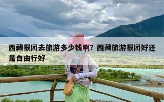 西藏报团去旅游多少钱啊？西藏旅游报团好还是自由行好