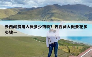 去西藏费用大概多少钱啊？去西藏大概要花多少钱一