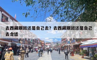 去西藏跟团还是自己去？去西藏跟团还是自己去合适