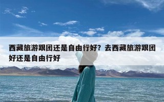 西藏旅游跟团还是自由行好？去西藏旅游跟团好还是自由行好