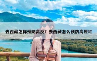 去西藏怎样预防高反？去西藏怎么预防高原红