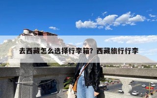 去西藏怎么选择行李箱？西藏旅行行李