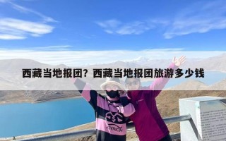 西藏当地报团？西藏当地报团旅游多少钱