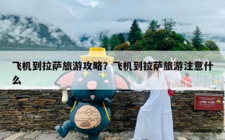 飞机到拉萨旅游攻略？飞机到拉萨旅游注意什么