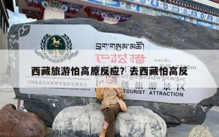 西藏旅游怕高原反应？去西藏怕高反