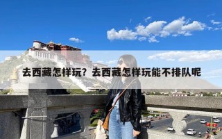 去西藏怎样玩？去西藏怎样玩能不排队呢