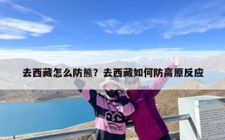 去西藏怎么防熊？去西藏如何防高原反应