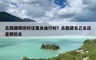 去西藏跟团好还是自由行好？去西藏自己去还是跟团去