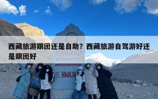 西藏旅游跟团还是自助？西藏旅游自驾游好还是跟团好