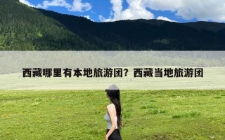 西藏哪里有本地旅游团？西藏当地旅游团