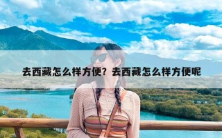 去西藏怎么样方便？去西藏怎么样方便呢