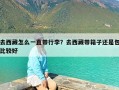 去西藏怎么一直带行李？去西藏带箱子还是包比较好