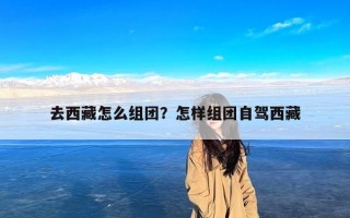 去西藏怎么组团？怎样组团自驾西藏